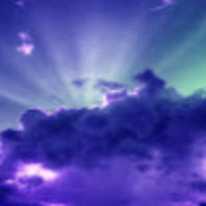 Meet your Posher, Violet